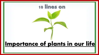 10 lines on Importance of plants in our life||Importance of plants in our life essay in10 lines.