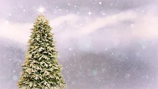 Beautiful Instrumental Christmas Music, Carol of the Bells "Peaceful Christmas" Tim Janis