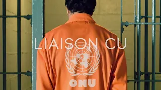 RTP - ONU - Liaison cu