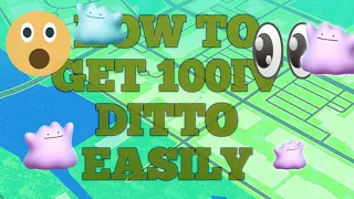 Let's catch 100iv Ditto easily. 👍👍