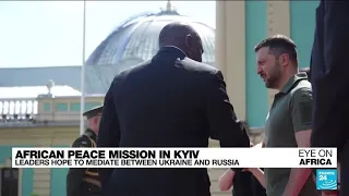 In Kyiv, South African leader urges Russia and Ukraine to de-escalate • FRANCE 24 English