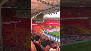 Kaiserslautern Ultras Choreo im Pokalfinale !👹🔥