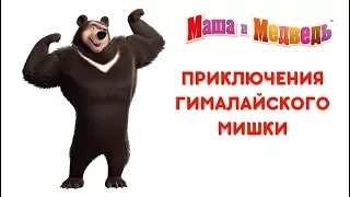 Маша и Медведь - Приключения Гималайского Мишки 🐻 Все серии подряд! 🎬