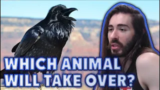 Which Animal Will Take Over After Humans? | MoistCr1tikal
