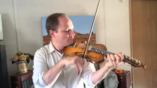 Hardanger fiddle