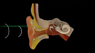 Speech to Laser to Sound