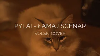 PyLai - Łamaj Scenar / Ламай сцэнар / VOLSKI cover