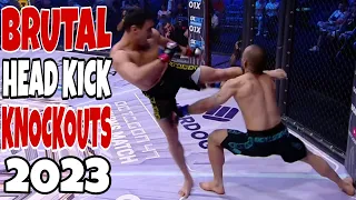 Most Brutal Head-Kick Knockouts in MMA 2023 | Stone Cold KO's