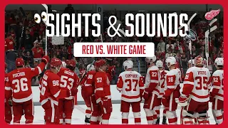 Sights and Sounds from Red Wings Red vs. White Game