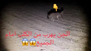 اعوذ بالله من شرماخلق ظهور الجنيه القزمه خلفي وكانت راكبه داخل سيارتي الجنيه المخيفه وصوت صراخ شديد