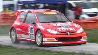 Peugeot 206 WRC: Perfect Car To Celebrate the New Year's Eve? - Crazy Anti-Lag Backfires!!