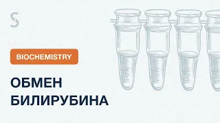 USMLE Step 1 - Обмен билирубина