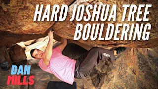 This Dude Is POWERFUL! Hard Joshua Tree Bouldering With Dan Mills