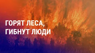 Кто виновен в пожарах в Казахстане? Таджикистан просит Францию экстрадировать оппозиционера | АЗИЯ