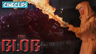 The Blob | Battling The Blob | CineClips