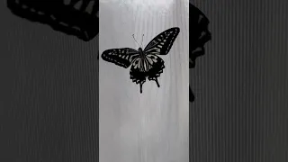 ナミアゲハ　/並揚羽/Asian Swallowtail//Papilio xuthus