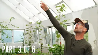 It's Insane. My Solar Generates up to 180kWh in a Day + Passive Solar Greenhouse Tour