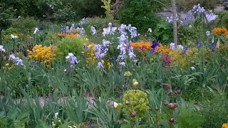 Monet's Garden at  Giverny 14.5.2015