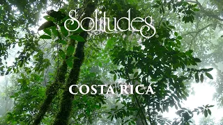 Dan Gibson’s Solitudes - Sanctuary in the Mist | Costa Rica