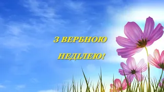 Вітаю з Вербною Квітною неділею Вірш Привітання українською #вербнанеділя #вітання #привітання #вірш