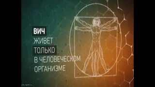 ВИЧ-инфекция и СПИД. В чем разница?