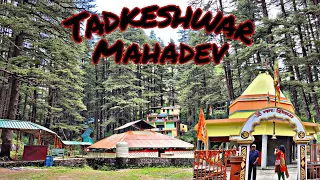 Tadkeshwar Mahadev Mandir Uttrakhand ❤️ || Lansdowne me ghumne ki jagah 🤩 || Garwal