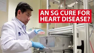 An SG Cure For Heart Disease? | Challenge Tomorrow | CNA Insider