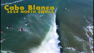 CABO BLANCO 2024 NORTH SWELLS