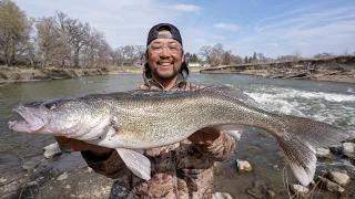 Public River Spillway Walleye Shore Fishing! (CATCH CLEAN COOK)