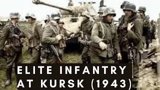 Battle of Kursk – German Elite Infantry - 78th "Sturm" Division (1943, Orel)