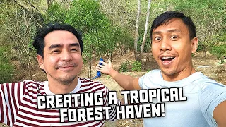 We're Beautifying & Developing Our Tropical Forest in the Yard | Vlog #1718