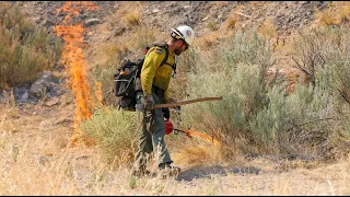 Fire crews continue to battle 8,000+ acre Bear Fire in Carbon County