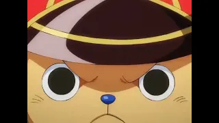 I am not a tanuki || chopper best moment chopper slaps queen