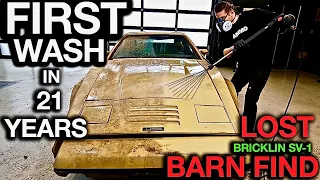 Most Disgusting Car Ever! Barn Find First Wash in 24 Years: Lost Bricklin SV-1