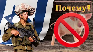 Почему евреям запрещено есть свинину? | Рассказ | Раввин Цви Патлас