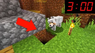 My Dog Wouldnt Stop looking down this hole, so i went inside (Ps5/XboxSeriesS/PS4/XboxOne/PE/MCPE)