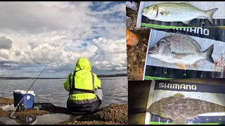 Land based fishing Lake Macquarie