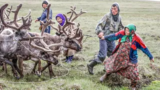 Ненцы и ханты. Сходства и отличия коренных народов Севера | Факты