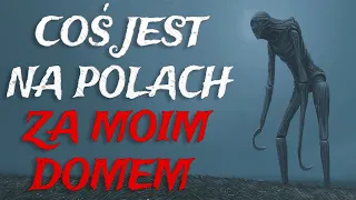 Coś jest na Polach za Moim Domem - CreepyPasta [Lektor PL]