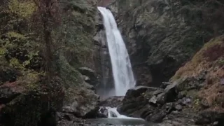 ლაგოდეხის დაცული ტერიტორიების უნიკალური ბიომრავალფეროვნება