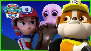 Rubble and Chase help a Squid get back to the Ocean! | PAW Patrol | Cartoons for Kids