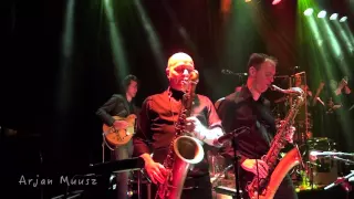 The Royal Dutch Scam compilatie (Steely Dan Tribute Band)