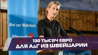 Швейцарские деньги в АдГ: как и от кого Алисе Вайдель получала иностранное финансирование