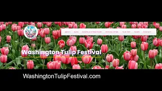 Welcome to Washington Tulip Festival
