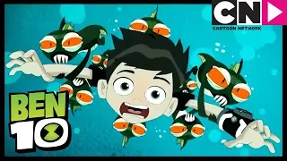 Ben 10 Español | El monstruo marino pone a Ben en peligro | Cartoon Network