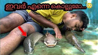 അരാപൈമയും ഗാറും പുതിയ മോൺസ്റ്ററും...😍 | monster tank cleaning | arapaima | alligator gar | red tail