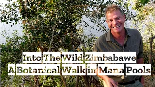 Into The Wild Zimbabwe: A Botanical Walk in Mana Pools