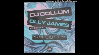 DJ Gollum & Olly James feat. Scarlet - All the Things She Said (TikTok Extended Mix)