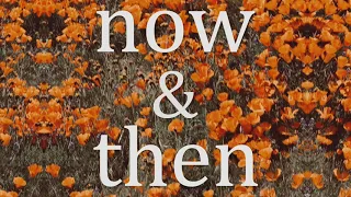 Lily Kershaw - "Now & Then"