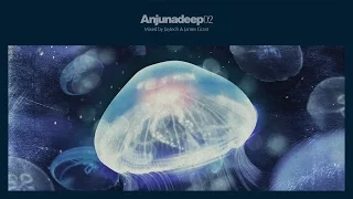 Jaytech & James Grant - Anjunadeep 02 CD1 (Continuous Mix)